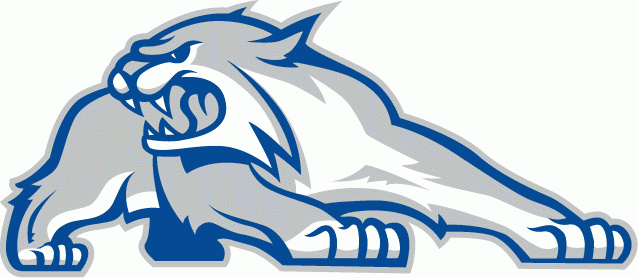 New Hampshire Wildcats 2000-Pres Alternate Logo v2 diy fabric transfer